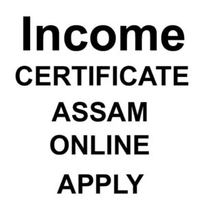 Income Certificate Apply Assam