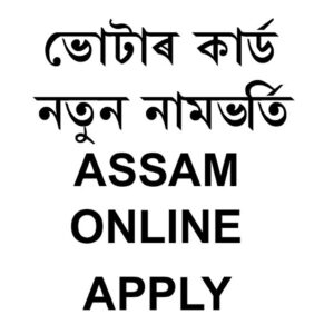 Voter List New Name entry